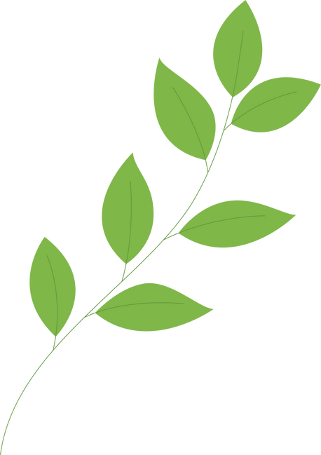 tree branch with green leaves. vector